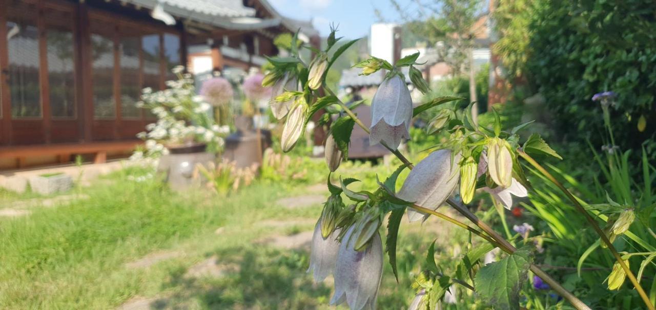 Jahayeon Hanokstay Jeonju Exterior photo